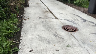 new storm drain in the alley behind my house in north Minneapolis