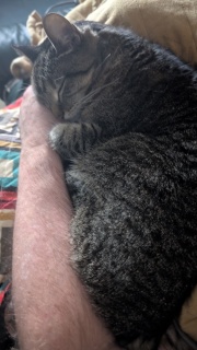 Hope sleeping at the elbow-bend of my arm