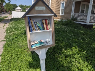 Little Library in front yard of north Minneapolis, with dutch clover covering the entire front yard in the background