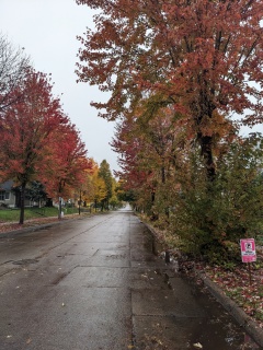 street sweeping in Minneapolis too early again, 2023 October 26